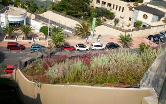 Lush growth on this roof section too - in this case lavender and rosemary are predominant. © ZinCo GmbH / Impermeabilizaciones Machado, S.L.U. Pitched green roof